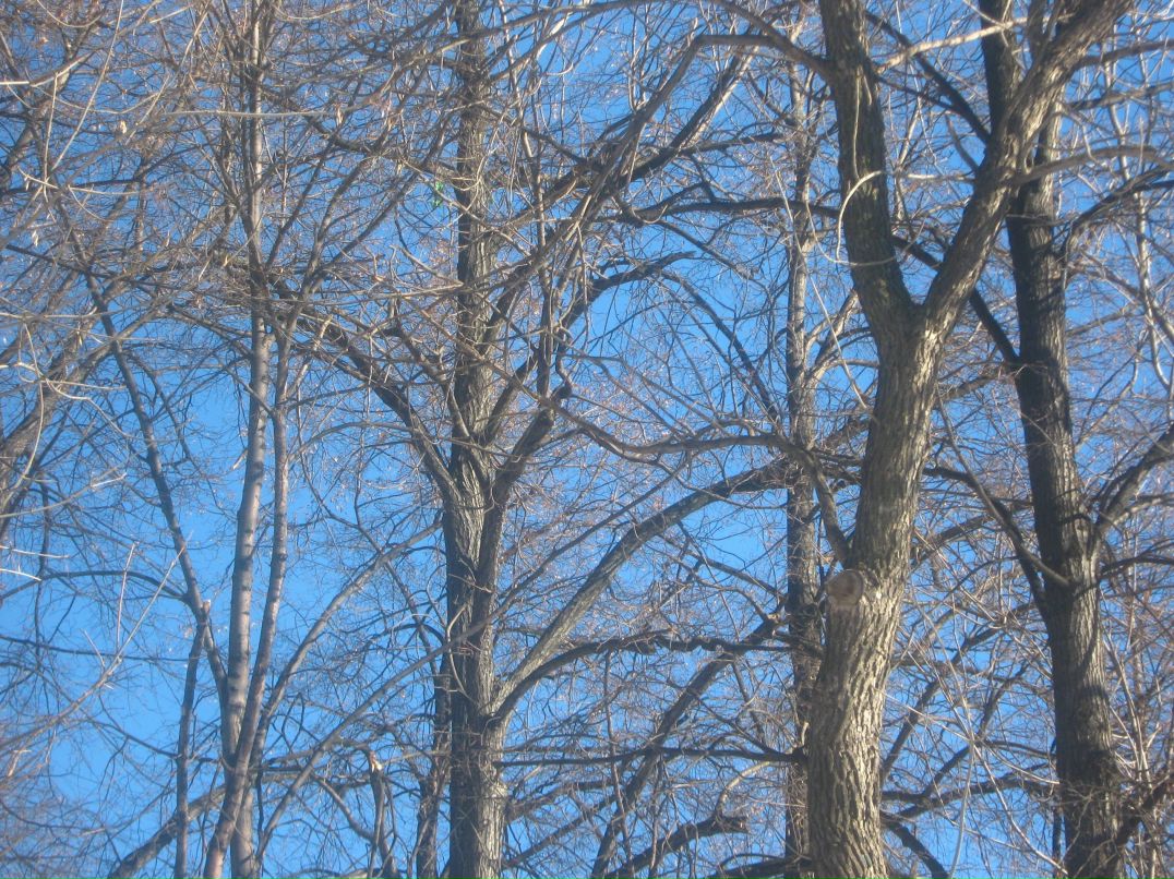 Оксана Куницина | Пермь