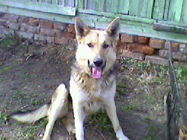 Светлана Пучкова | Иваново