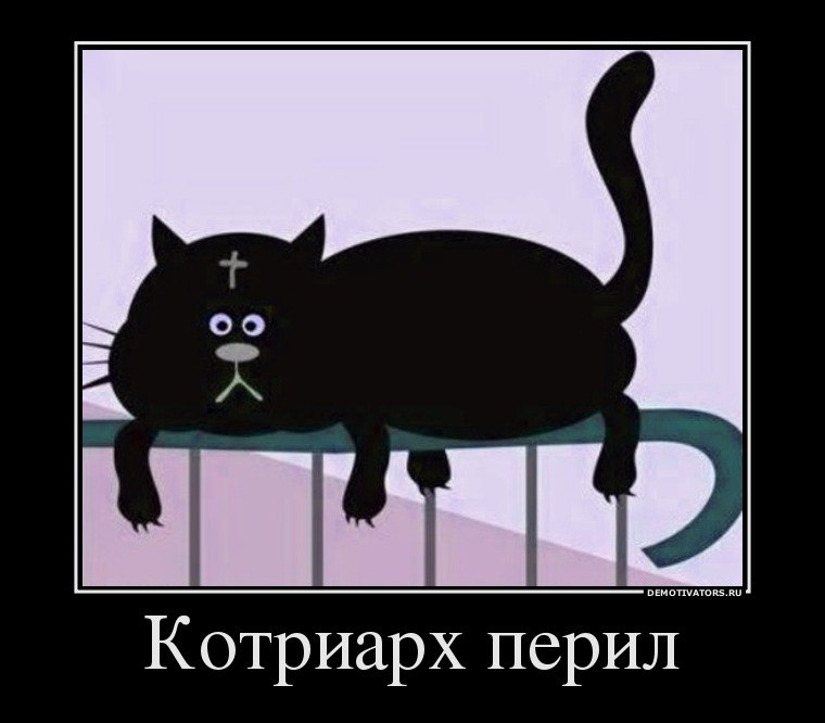 Владимир Сиротенко Владимирович | Киев