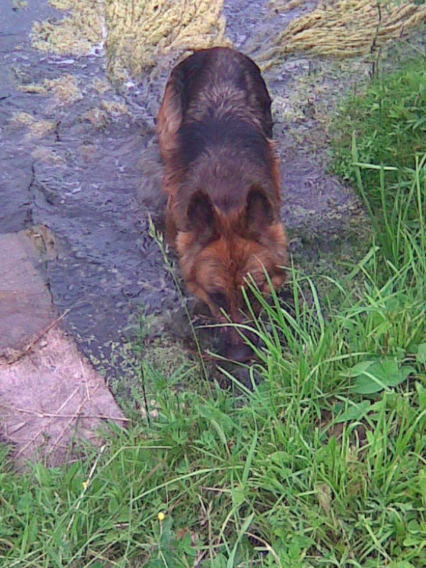 Анна Серова | Вологда