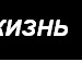 Шамиль Гусейнов фотография #10 (источник - https://vk.com/id100314723)