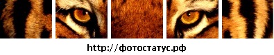 №39, Виктор Браун №39, Виктор Браун