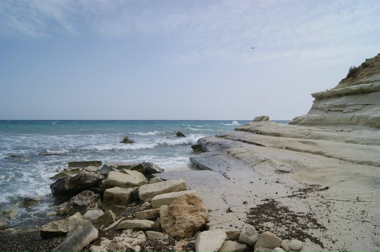 Анатолий Зырянов | Москва