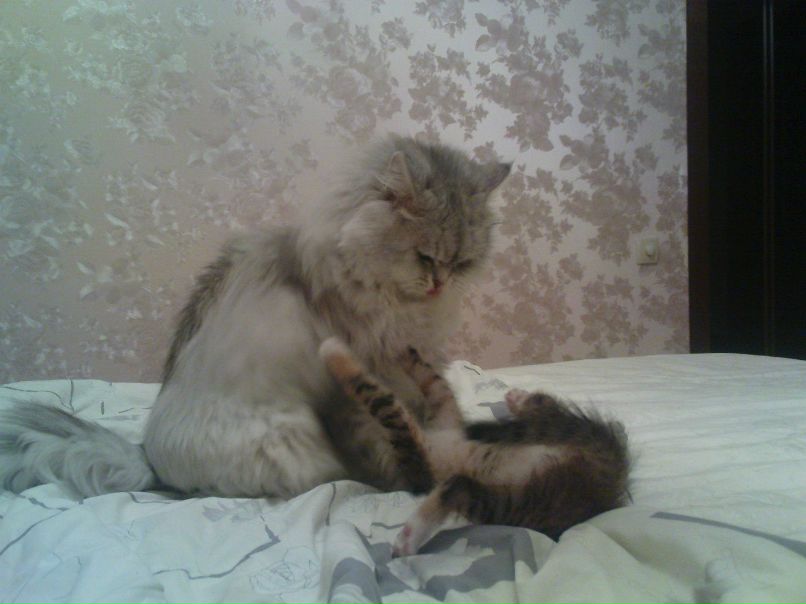 Ирина Романова | Москва