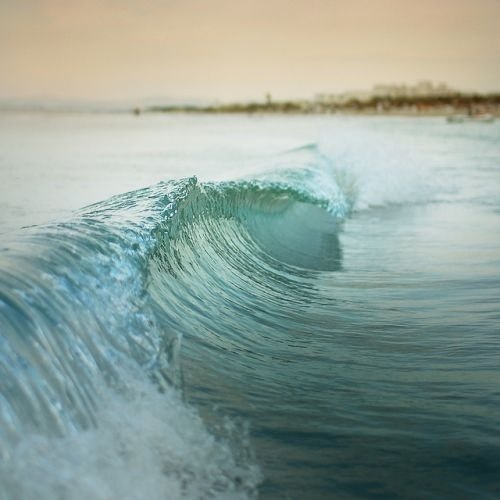 Ксения Егорова | Санкт-Петербург