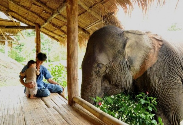 №13, Денис Ким, 20.11.1983, Москва №13, Денис Ким, 20.11.1983, Москва