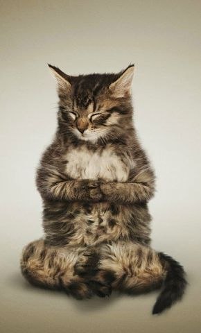 Юлия Горбачева | Ростов-на-Дону