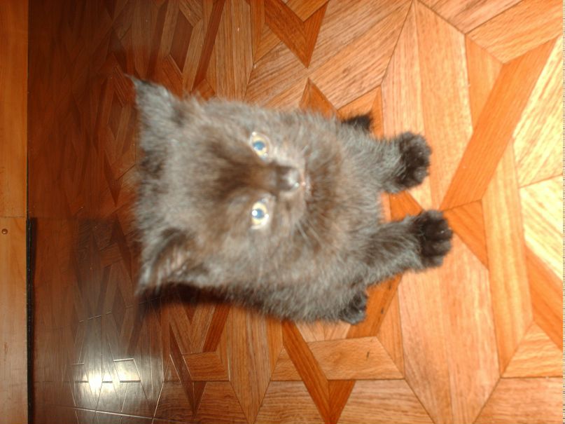 Владимир Артамонов | Петрозаводск