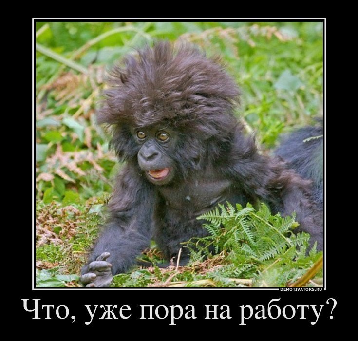 Максим Тагиров | Новороссийск