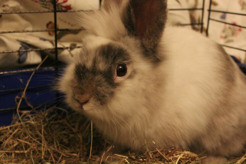 Никита Брага | Санкт-Петербург