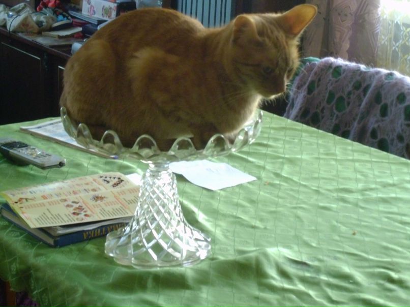 Вера Харзина | Санкт-Петербург