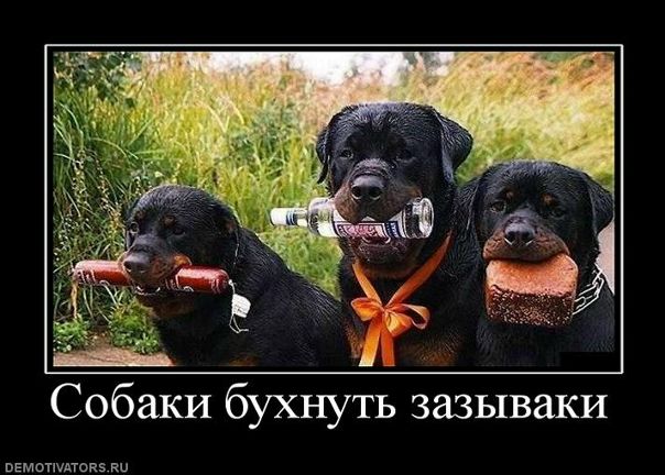 №61, Алексей Илларионов, 14.10, Москва №61, Алексей Илларионов, 14.10, Москва