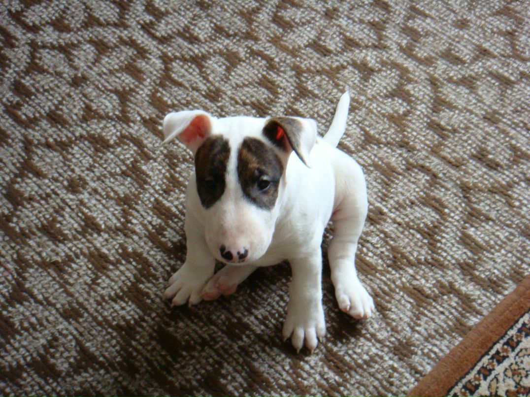 Анастасия Яковлева | Екатеринбург