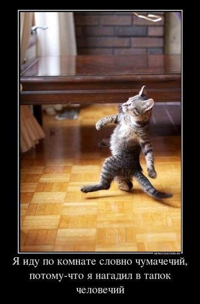 Зинаида Геращенко | 