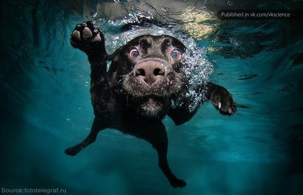 Андрій Лендєл | 