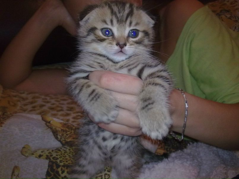 Юлия Токарева | Красноярск