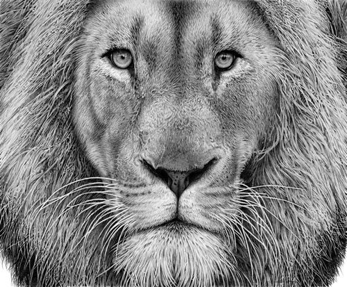 Егор Мальцев | Екатеринбург