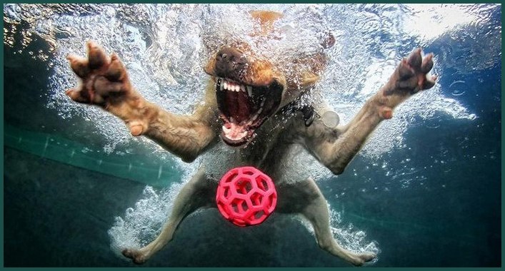 Иван Мухин | Москва