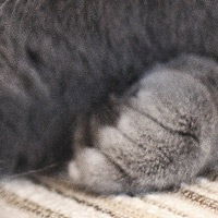 №47, Олег Остаповский, Киев №47, Олег Остаповский, Киев