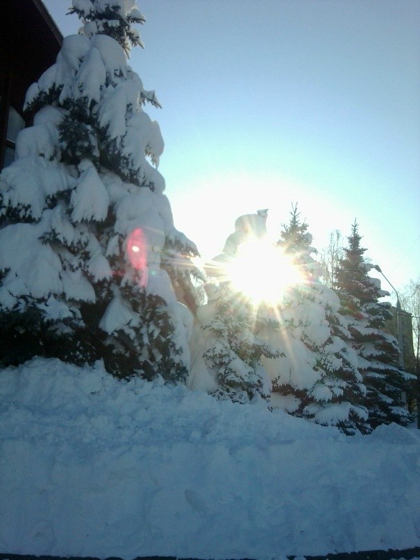 Анна Маринович | Гомель