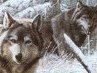 Дамир Салимзибаров | Лысьва