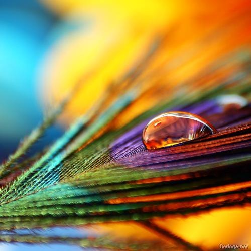 Макс Felin | Киев