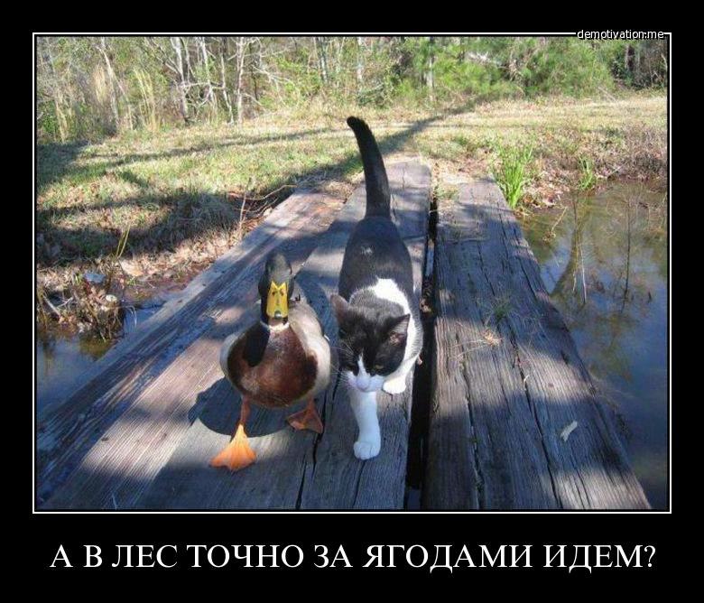 Vlad Go | Северодвинск