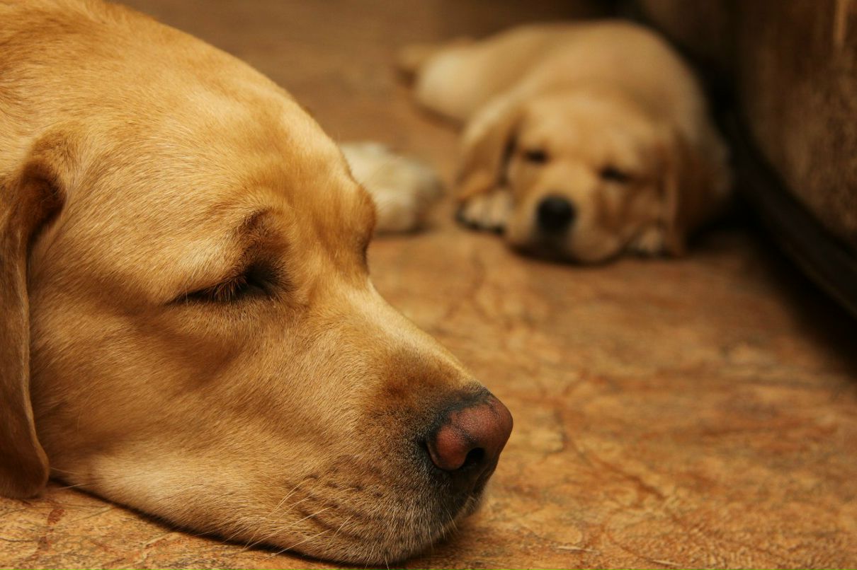 Михаил Масальский Michael | Новосибирск