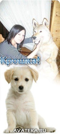 Сирина Сенкевич ﻉ√٥ﺎ | Тюмень