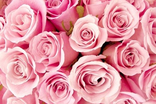 Эльмира Асанова | Белогорск