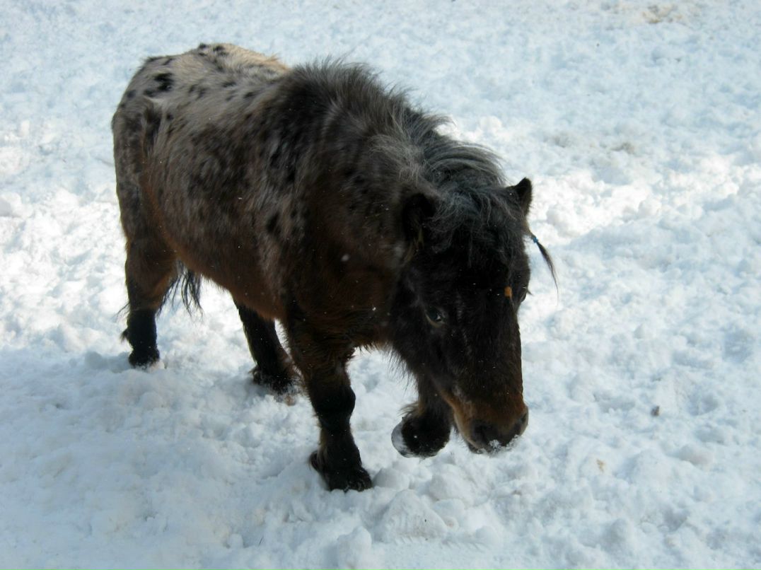 Lena Hotina | Харьков