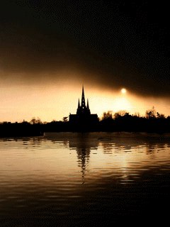 Сергей Шибаев | Санкт-Петербург