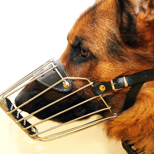 Алиса Когут | Санкт-Петербург