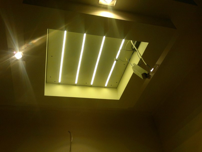 Алексей Баранов | Санкт-Петербург