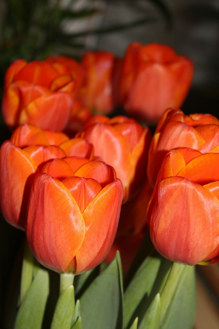 Анна Бояршинова | Пермь