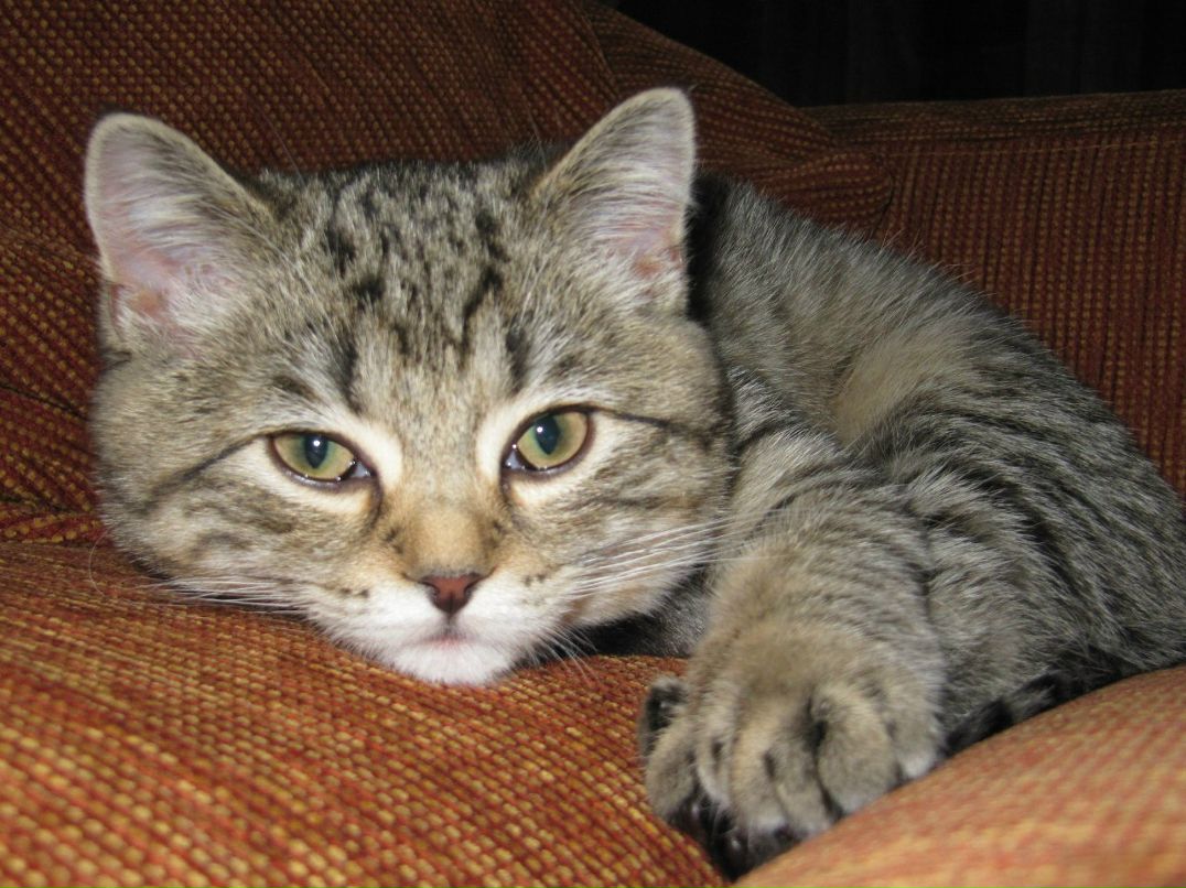 Вероника Губанова | Новокузнецк