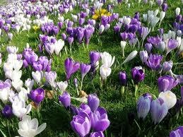 Оксана Кайнова | Казань