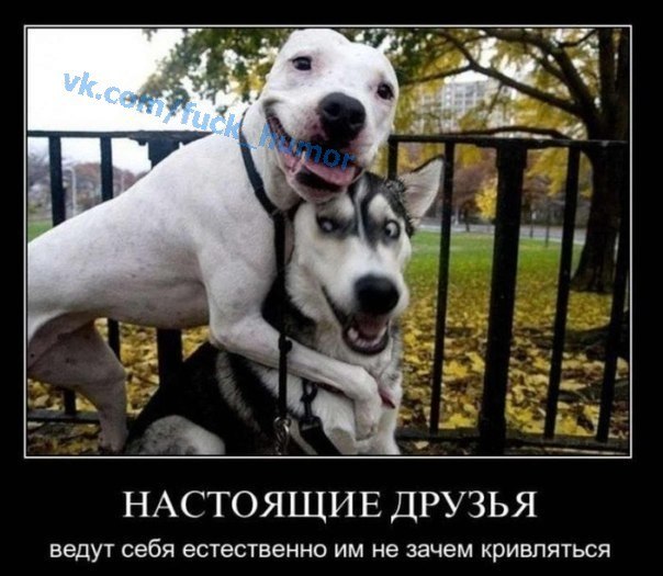 Тимофей Ликасов | Новосибирск