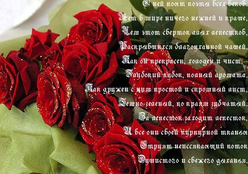Леся Фролова фото со стены #43
