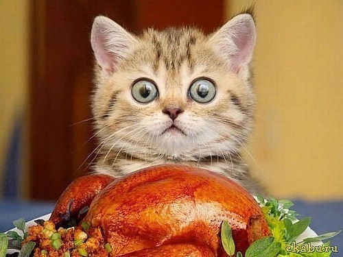 №23, Валерия Требунских, 22.2 №23, Валерия Требунских, 22.2