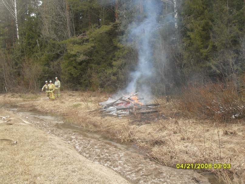 Николай Васин | Пошехонье