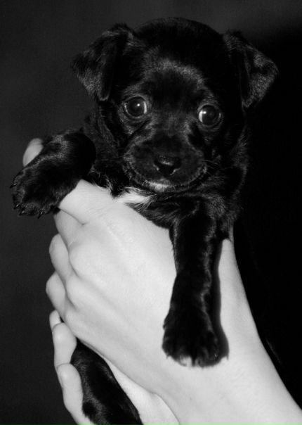 №154, Вероника Никогосян, Калининград №154, Вероника Никогосян, Калининград