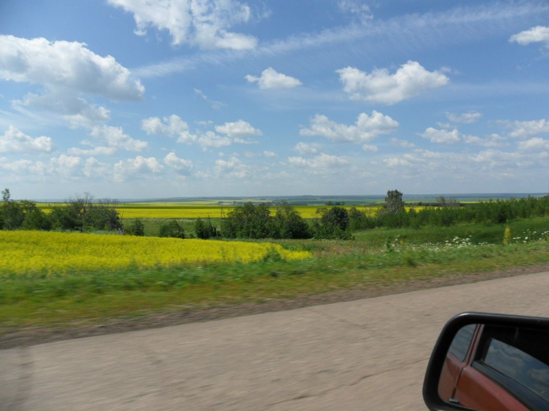 Айдар Даутов | 