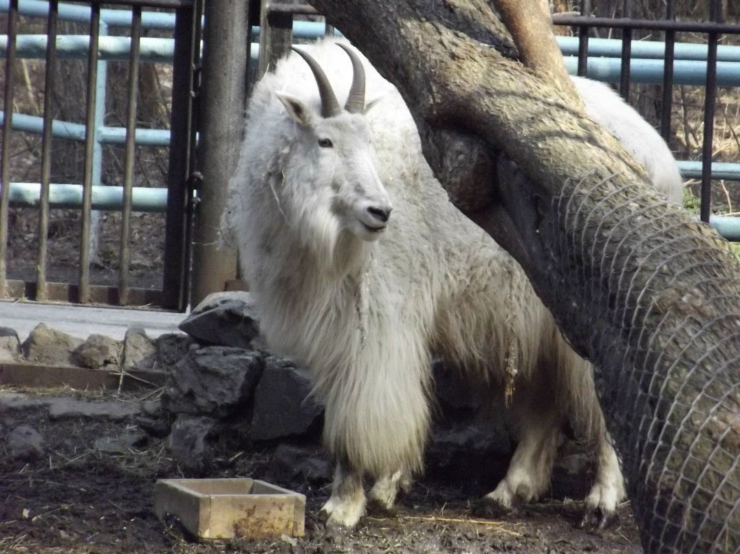 Галина Зайко | Новосибирск