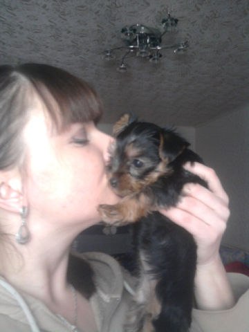 Елена Короленко-Нитиевская | Могилёв