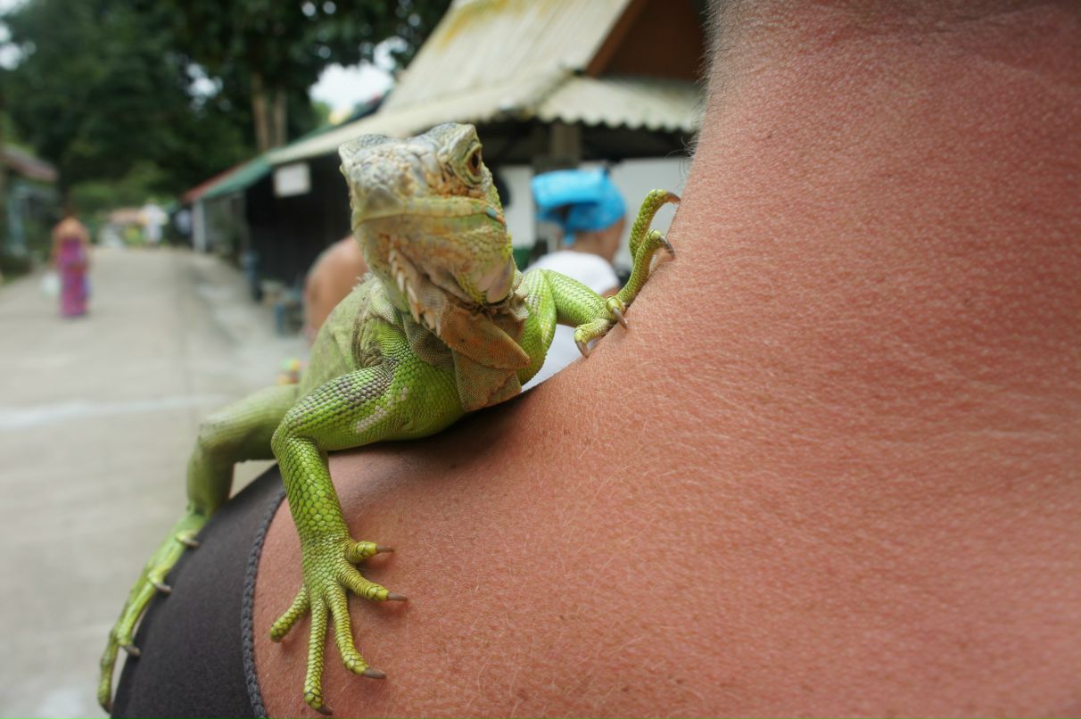 Валера Шишкин | Москва