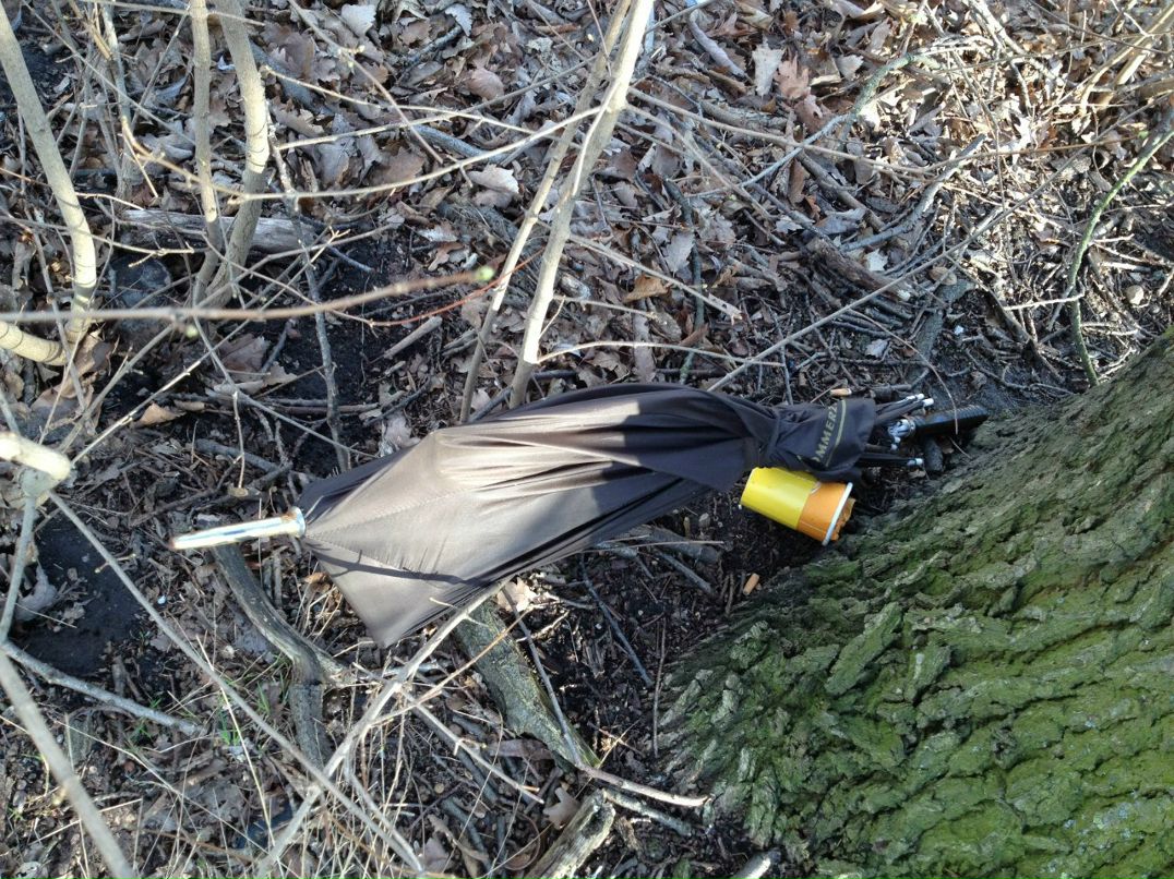 Александра Климашевич | Минск