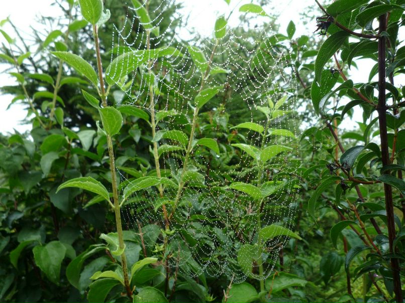 Варвара Алёшина | Москва