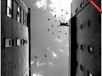 №17, Илья Попов №17, Илья Попов