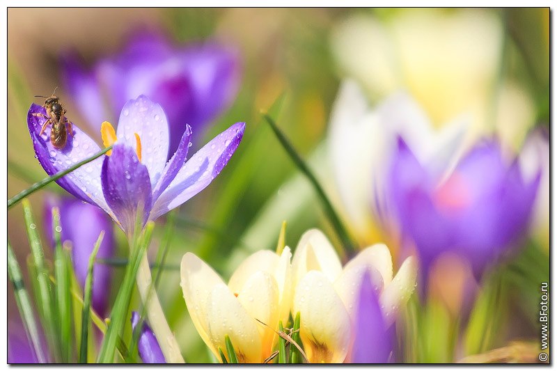 Оксана Мороз | Донецк